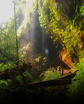Desa Wisata Cimande