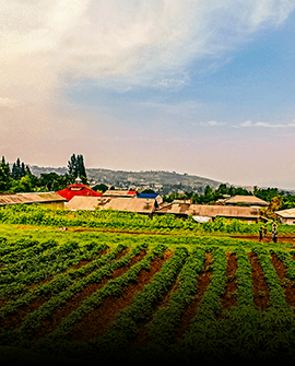 Desa Wisata Cilember