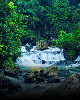 Desa Wisata Bantarkaret