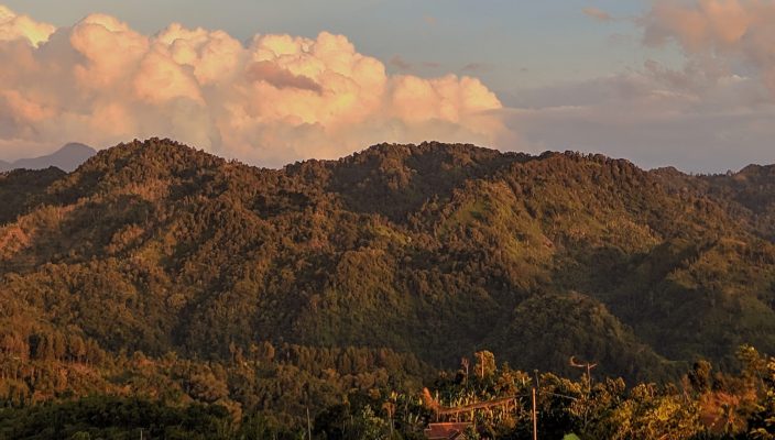 Processed with VSCO with  preset