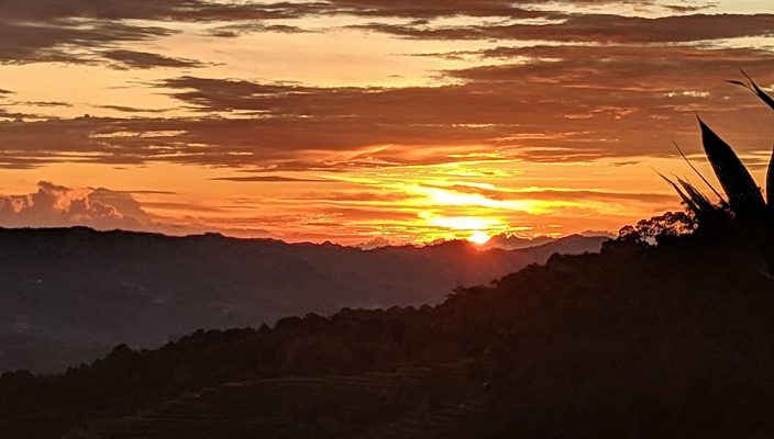 Processed with VSCO with  preset