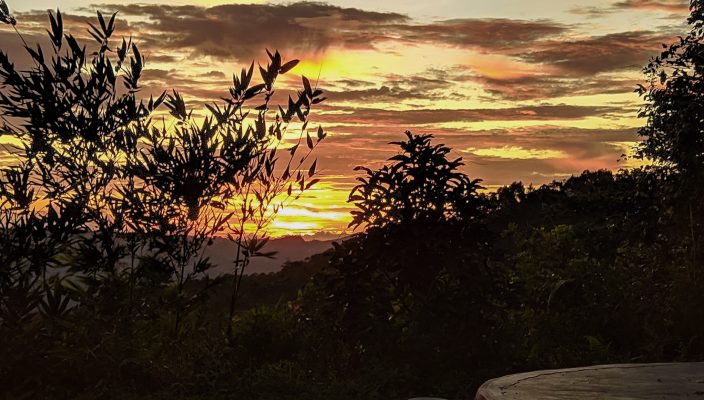 Processed with VSCO with  preset