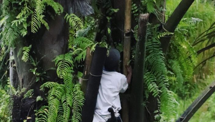 pesonabantarkaret-10062022-0017