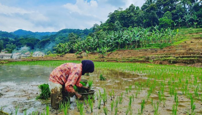 pesonabantarkaret-10062022-0035