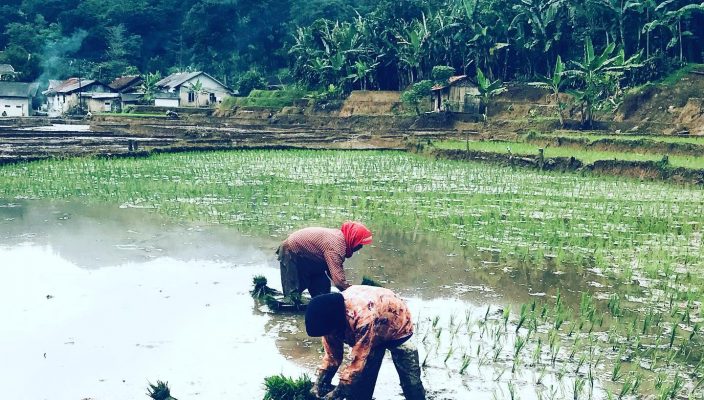 pesonabantarkaret-10062022-0036