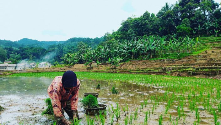 pesonabantarkaret-10062022-0037