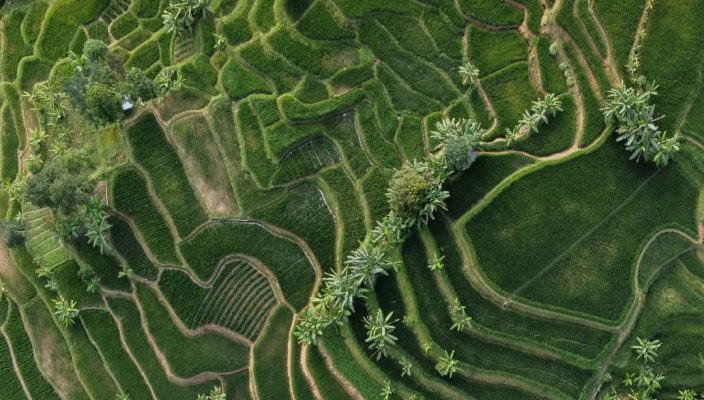 rahmanmukhlis28-10062022-0002