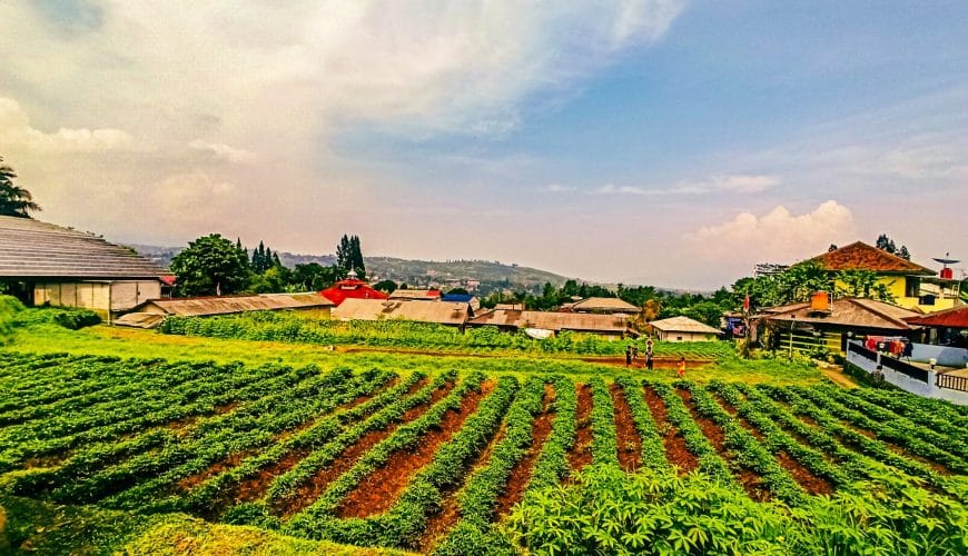 Sejarah Desa Wisata Cilember